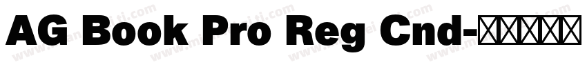 AG Book Pro Reg Cnd字体转换